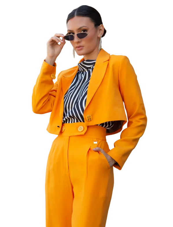 background-pic-transparent